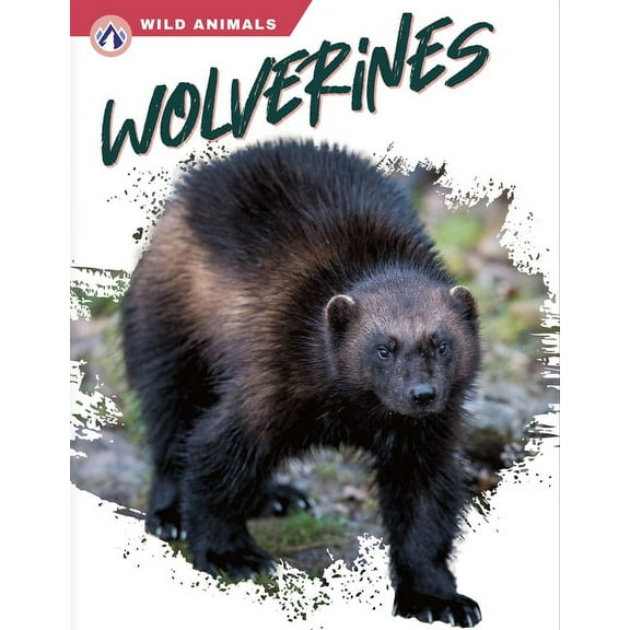 Wolverines, (Paperback)