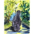 thumbnail image 1 of Carolines Treasures SS8181GF Afghan Hound Flag - Garden Size, 1 of 3
