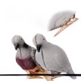 thumbnail image 2 of 6PCS Dove Decoy with Clip – Realistic Lifelike Pigeon Hunting Decoy and Bird Deterrent for Garden, Patio, Crops, and Outdoor Use, 2 of 9