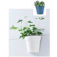 thumbnail image 2 of Yuarrent Maceta de pared para el hogar, oficina, jardín, patio, dormitorio, cocina, hierbas, maceta para flores, maceta para interiores y exteriores Jardín y Patio Azul Yuarrent HA075491-03, 2 of 6