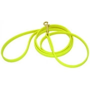J&J Dog Supplies Biothane Dog Leash, 1/2" Wide by 6' Long, Lime Green