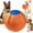 Orange, variant on Herding Ball for Dogs, Calming Jumbo Ball, Mellow Dog Jumbo Ball, Jolly Ball Dogs & Horses - 10/18/22" Durable Tear-Resistant Inflatable Pet Toy (Multi-Color, 10 inch)