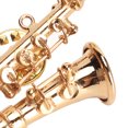 thumbnail image 3 of Riousery Broche de Instrumento Musical de Saxofón Miniatura con Caja de Terciopelo Elegante Regalo de Graduación y Cumpleaños Joyería para Amantes de la Música 4.3 cm / 1.7 inches, 3 of 9