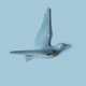 thumbnail image 2 of Estatua de Pájaros de Gaviota Voladora Náutica Escultura Artística de Animales Artesanía de Resina Decoraciones Colgantes Decoración de Del H Azul C Macarena Colgante 3D Gaviota voladora, 2 of 8