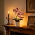 thumbnail image 4 of Artificial Phalaenopsis Orchid Bonsai Potted Plant Silk Flower Arrangement Realistic Home Decor Desktop Office Wedding Centerpiece Maintenance Free Floral Display Indoor Outdoor Decor, 4 of 6