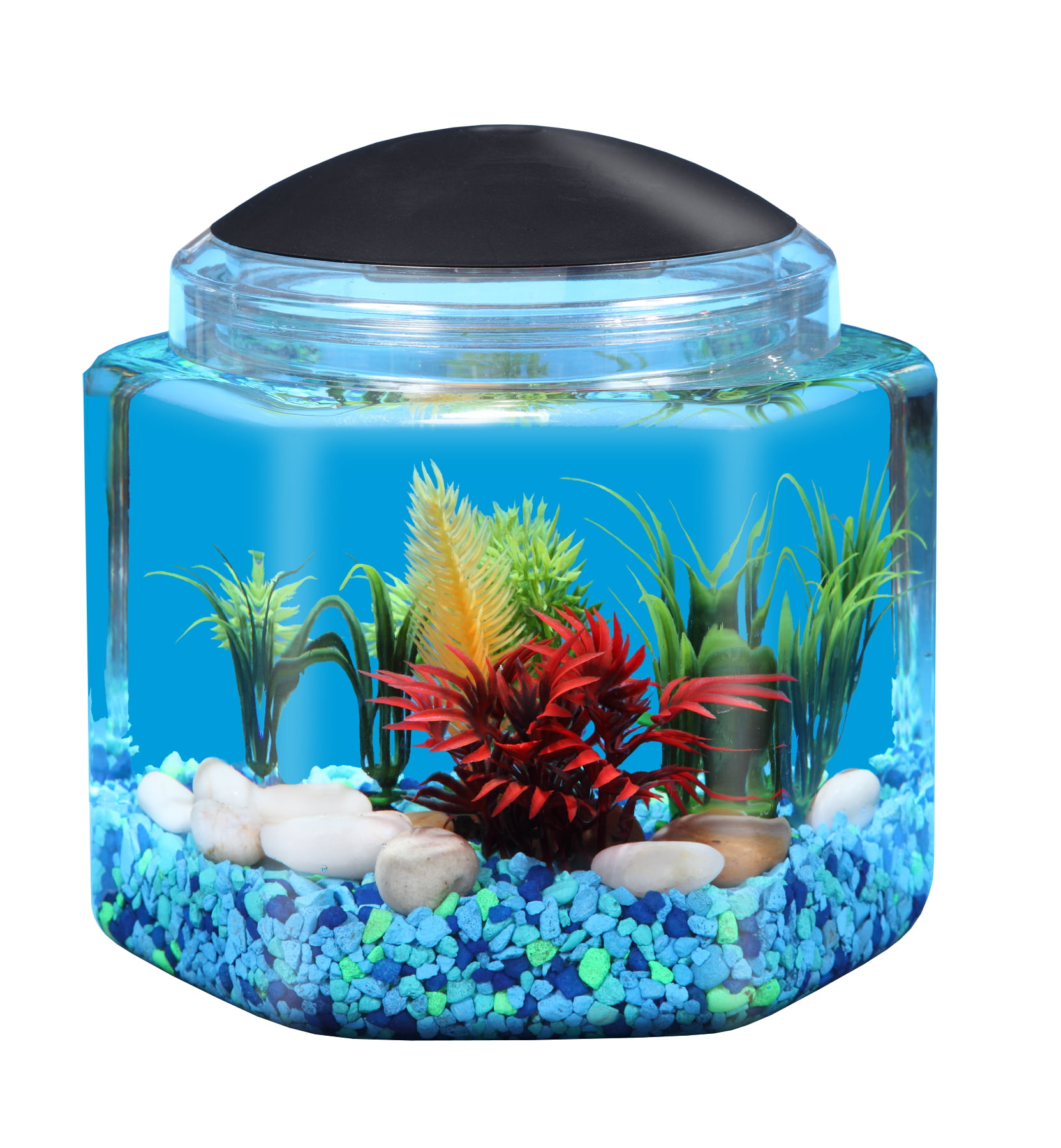 Buy Hawkeye 1-Gallon Betta Hex Fish Tank with LED Lighting at Walmart.com. 