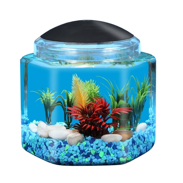 Hawkeye 1-Gallon Betta Hex Fish Tank with LED Lighting - Walmart.com ...