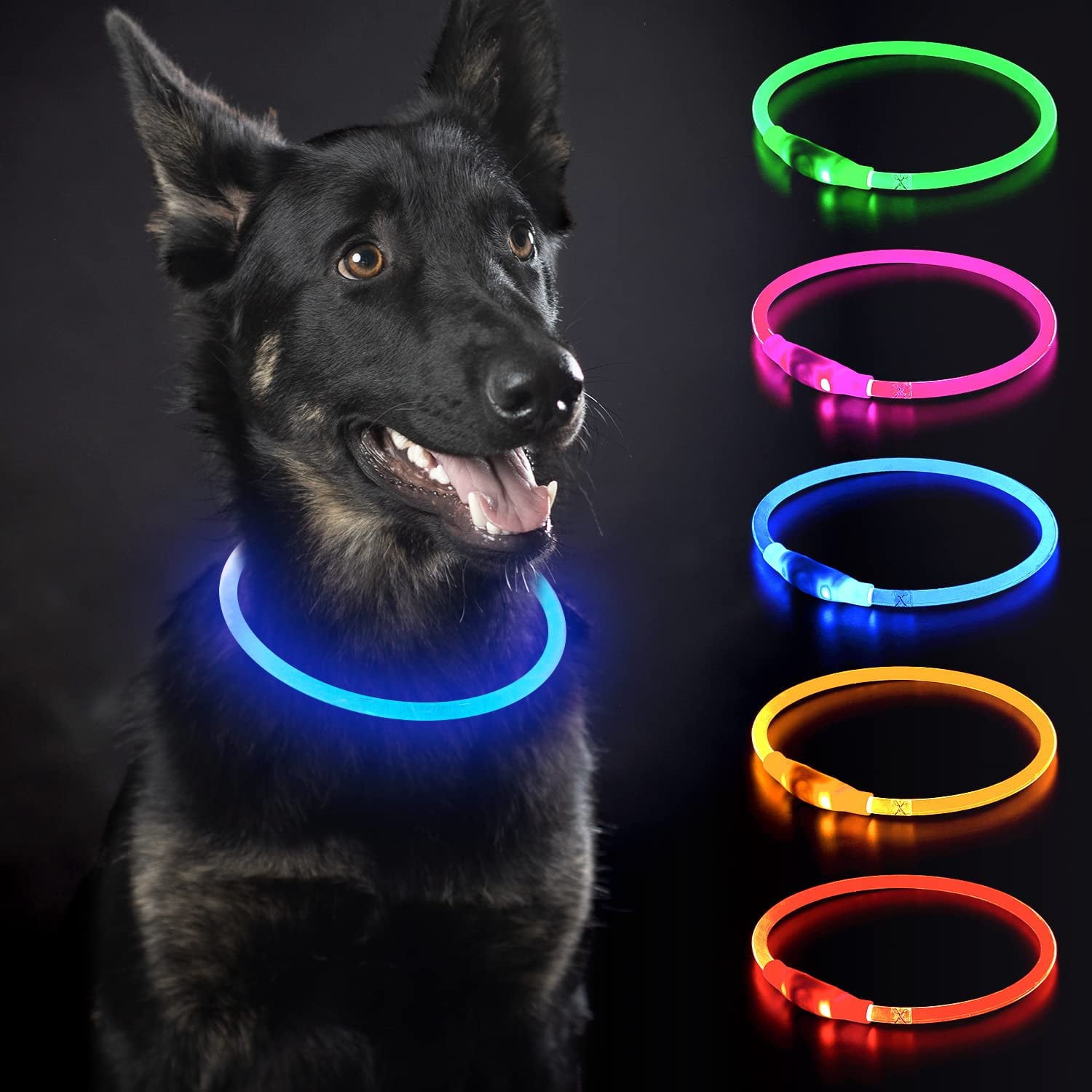 Light up pet collar hotsell