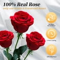 thumbnail image 2 of Caja de rosas preservadas Leebean, 16 flores eternas rojas, 2 of 7