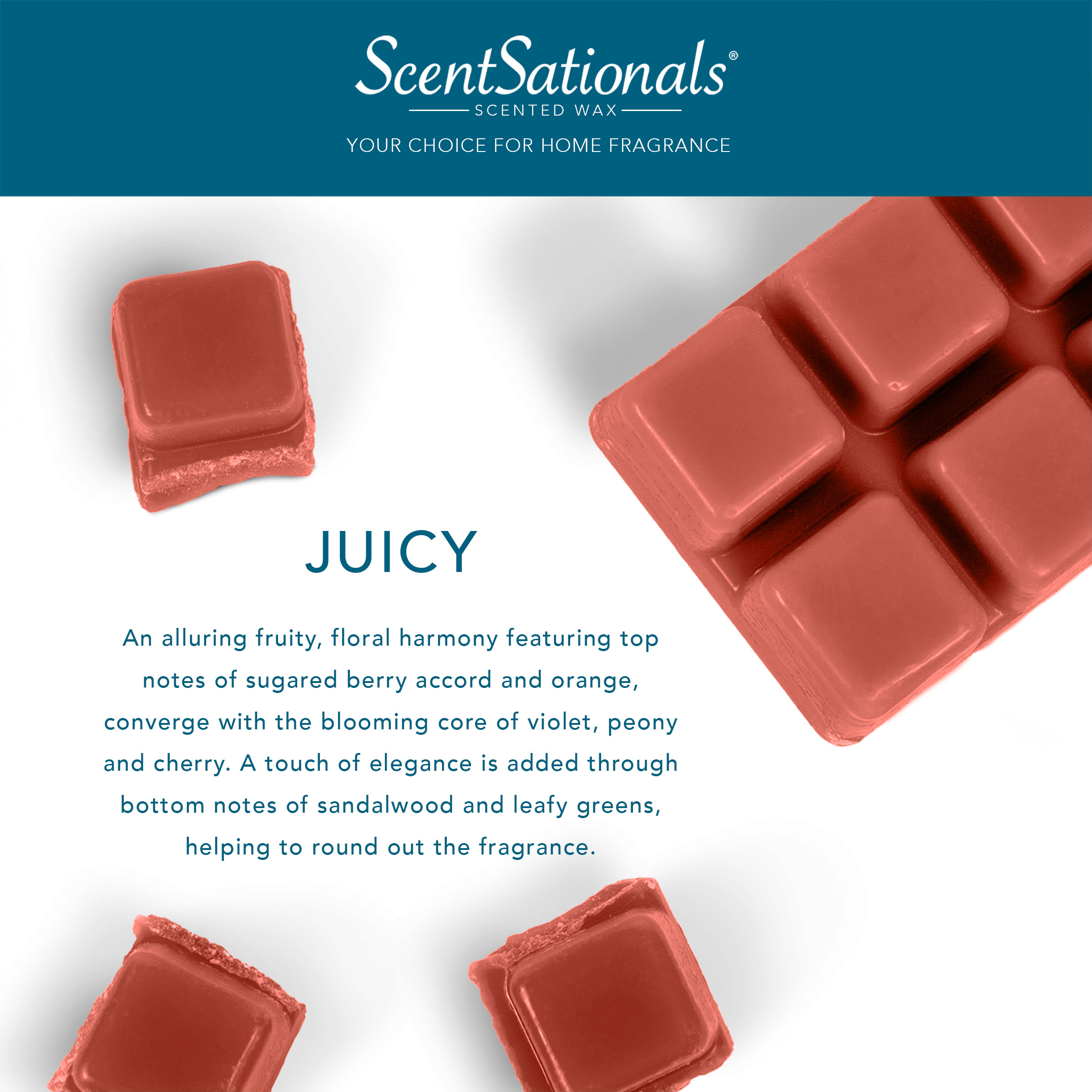 Juicy Scented Wax Melts, ScentSationals, 2.5 oz (1-Pack)