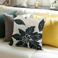 thumbnail image 3 of BANET Black Pillow Covers ,Decorative Couch Throw Pillow Cover for Sofa Bedroom,Black and Beige Cushion Case Outdoor Home Decoration(Black) White, 3 of 5