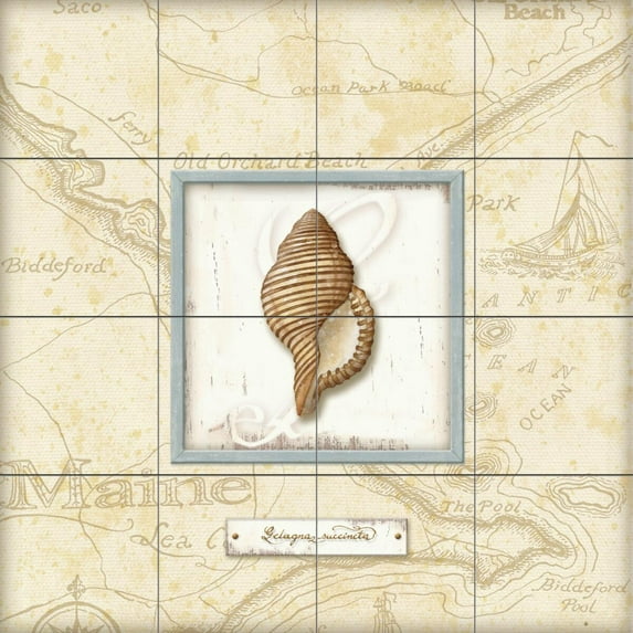 Tile Mural Bathroom Backsplash - Sea Treasure IV - by Charlene Audrey