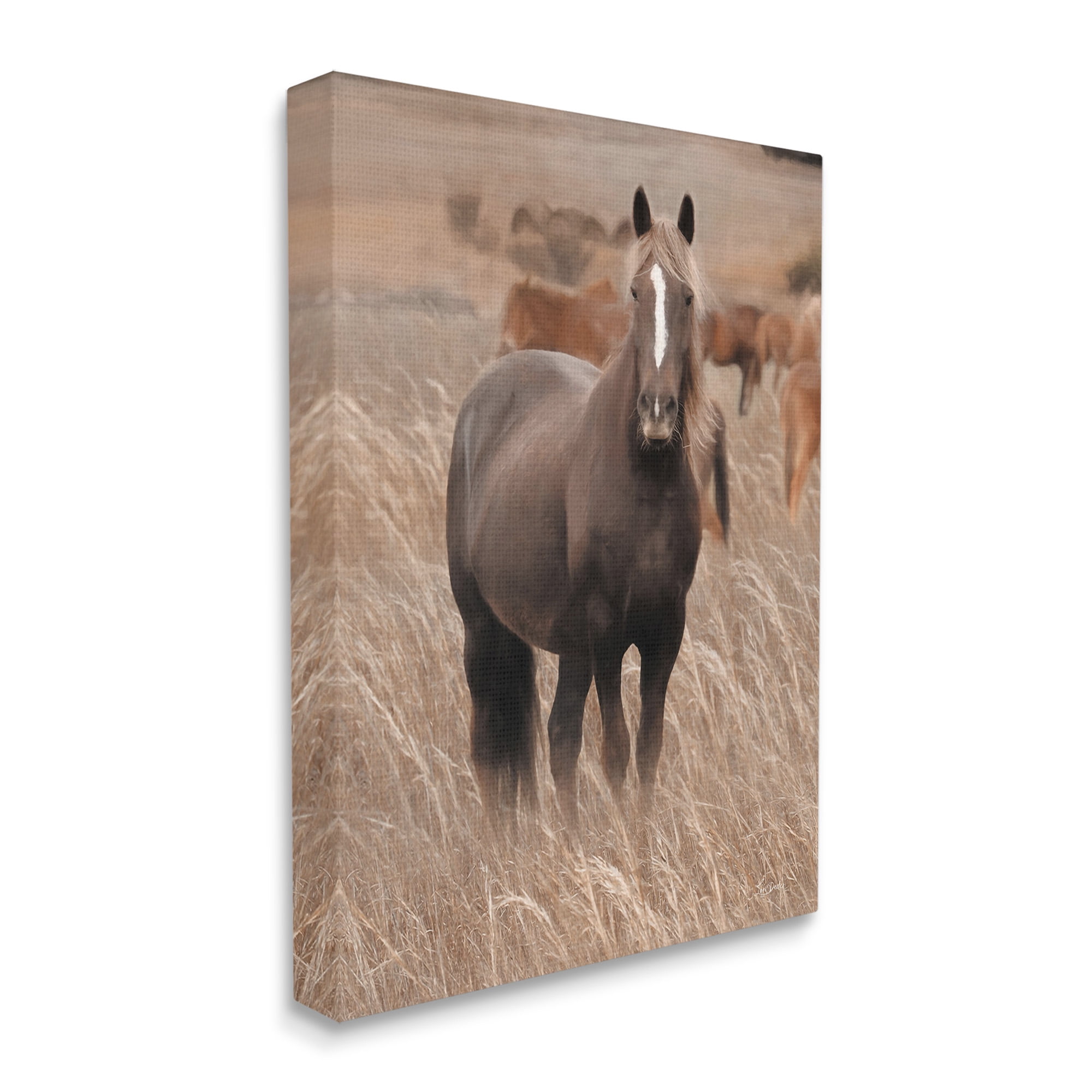 Stupell Industries Hazy Day Horse Animals & Insects Photography Gallery Wrapped Canvas Art Print Wall Art, 16 x 20