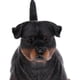 thumbnail image 3 of 2 uds simulación de animales salvajes modelo Rottweiler perro mascota figuras de acción chico juguete educativo hogar figuritas coleccionables decorac Sunnimix Juguete modelo animal, 3 of 8