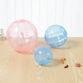 thumbnail image 3 of EDTara 12cm Portable Cute Pet Running Ball Toy Multiple Colors For Hamsters Gerbils Mice Small Animals, 3 of 9