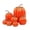 # 05 Orange, variant on STGRGFHY 7 Pcs Assorted Sizes Artificial Pumpkins Fall Decor Fake Faux Foam Pumpkins for Halloween Thanksgiving Harvest Home Table Decor,# 15 Green Pumpkin