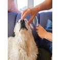 thumbnail image 5 of Cat Hair Brush & Deshedding Dog Brush - Pet Grooming Tool for All Coats. Features Ergonomic Handle For Comfy Grip, 5 of 8