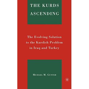 Pre-Owned The Kurds Ascending: The Evolving Solution to the Kurdish Problem in Iraq and Turkey Hardcover
