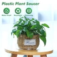 thumbnail image 2 of 20 Pack 6 Inch Plant Saucers Clear Plastic Plant Saucer Drip Trays Small Plant Plate Dish for Indoor Flower Pots and Planters, Bulk, 2 of 8