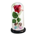 thumbnail image 3 of Regalos de flores de rosas, rosa iluminada en cúpula de cristal, adorno creativo de mesa, regalo del Día de San Valentín, flor Artificial para ella , Besos de base negra mayimx  luz de mesa, 3 of 9