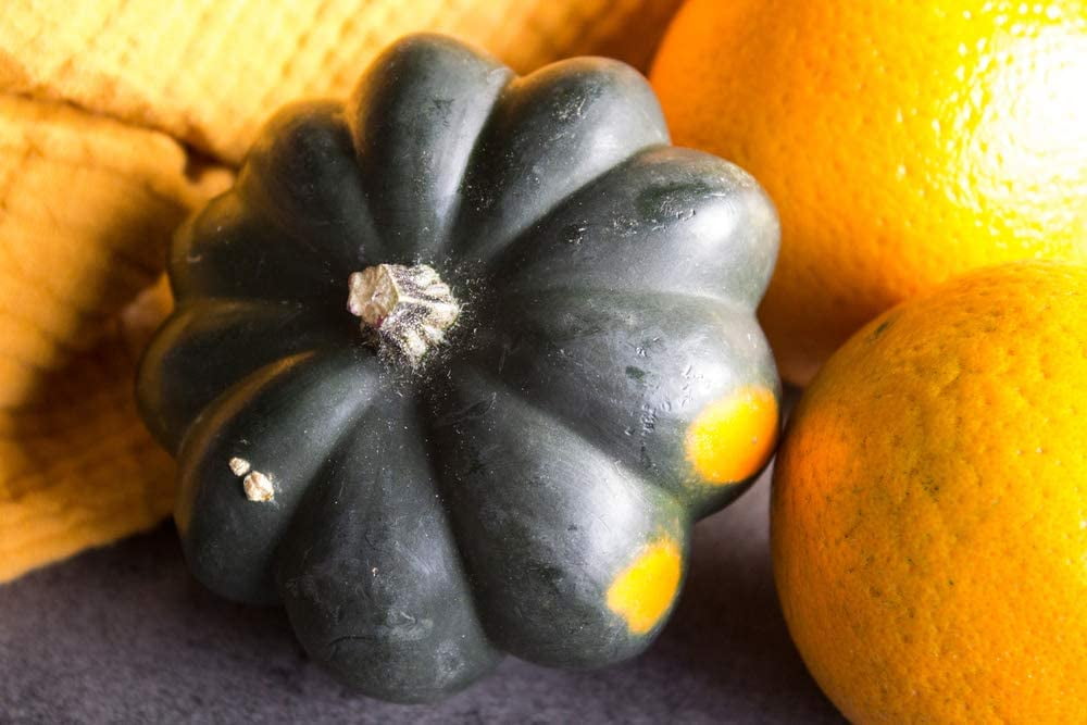 Giant Acorn Squash - 50+ Seeds - Table Squash, Delicious and Nutritious ...
