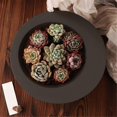 thumbnail image 5 of Large Round Container Mold, Silicone Irregular Bowl Storage Resin Concrete Mold, DIY Epoxy Resin Cas, 5 of 5