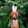 thumbnail image 3 of dajkiuy 1 Pcs Easter Dog Bandana,Triangle Reversible Pet Scarf for Boy and Girl,Premium Durable Fabric, Holiday Bandana for Small Medium Large and Extra Large Dogs, 3 of 6