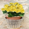 thumbnail image 4 of Morttic 2PCS Artificial Geraniums Silk Flowers Outdoor Artificial Geranium Bush Faux Flowers Yellow Geraniums for Floral Home Decor Indoor Garden Patio Grave Cemetary Vase Table Centerpiece, 4 of 5