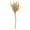 Natural, variant on Vickerman 12" Jumbo Natural Banksia Flower with Stem, Natural Preserved Dried Plant for Wedding Bouquets Home Decor or Everyday Arrangements 3 Per Pack