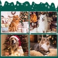 thumbnail image 5 of Disfraz navideño para mascotas, para perros y gatos pequeños, 5 of 5