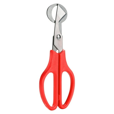 

Outfmvch home & kitchen Stainless Quail Opener Scissors Steel Tool Egg