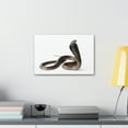 thumbnail image 3 of Cobra Hunting Cobra on Hunt Print Animal Wall Art Wildlife Canvas Prints Wall Art Ready to Hang Unframed, 3 of 18