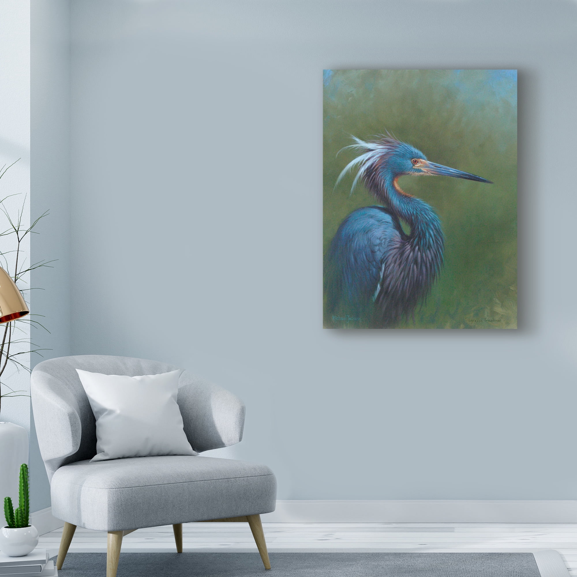 Trademark Fine Art 'Tricolour Egret' Canvas Art by Michael Jackson
