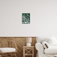thumbnail image 2 of Stupell Industries Green Succulent Photography Botanical & Floral Photography Black Framed Art Print Wall Art, 11 x 14, 2 of 8