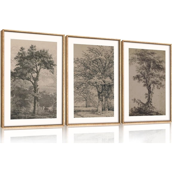 Vintage Tree Sketch Wall Art Set, Antique Tree Drawings Wall Decor, Nature Sketch Wall Painting, Framed Botanical Canvas Art Prints for Living Room, Bedroom, Dinning Room, Farmhouse - 16"x24"x3