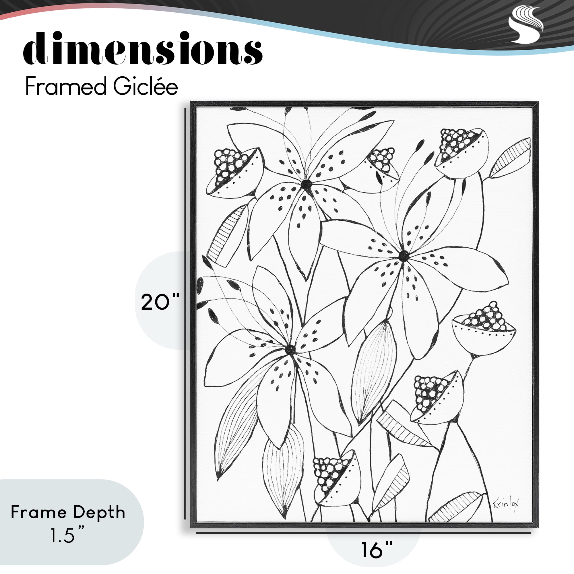 Stupell Industries Open Blooms Outline Black Framed Giclee Art, design by Krinlox