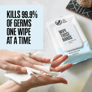 (2 pack) Wipe Those Hands Sanitizing Wipes, Fragrance and Alcohol Free, 1 Pack of 40 Wet Wipes