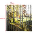 thumbnail image 4 of Paisajes Impreso Cortinas Elegante de Multicolores Duradero - Bosque de cipreses, 65x59 pulgadas Sunnimix Cortinas De Ventana De Baño, 4 of 8