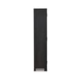 thumbnail image 3 of Bowery Hill Modern 2-Door Wood Accent Cabinet in Black/Warm Gray, 3 of 6