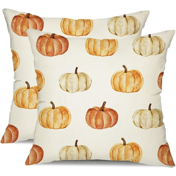 Fall Pillow Covers 18x18 inch Set of 2 Fall Decoration Pumpkin Decor White Autumn Outdoor Pillow Cover Thanksgiving Decoration for Home Couch TH-120A18