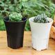 thumbnail image 1 of WEUVEB 6Ud Macetas Redondas Plásticas Para Plantas Interior Y Exterior Con Control, 1 of 8