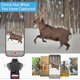 thumbnail image 3 of 4 in 1 Trail Camera Viewer, Memory Card Reader Compatible with, 3 of 5