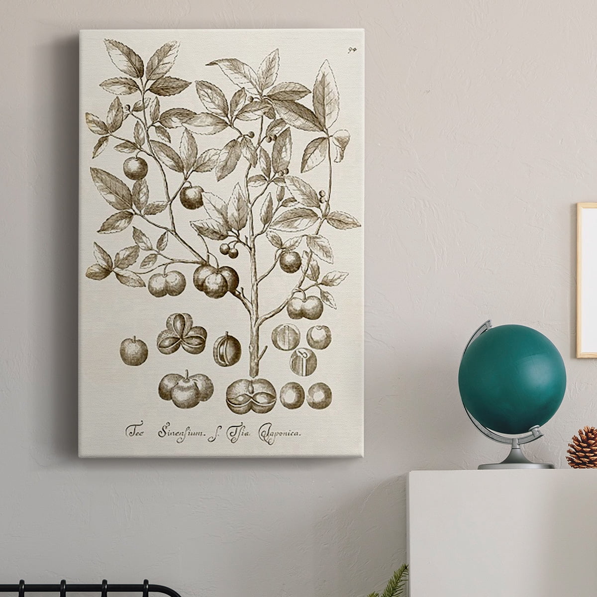Sepia Botanical Journal II Premium Gallery Wrapped Canvas - Ready to Hang