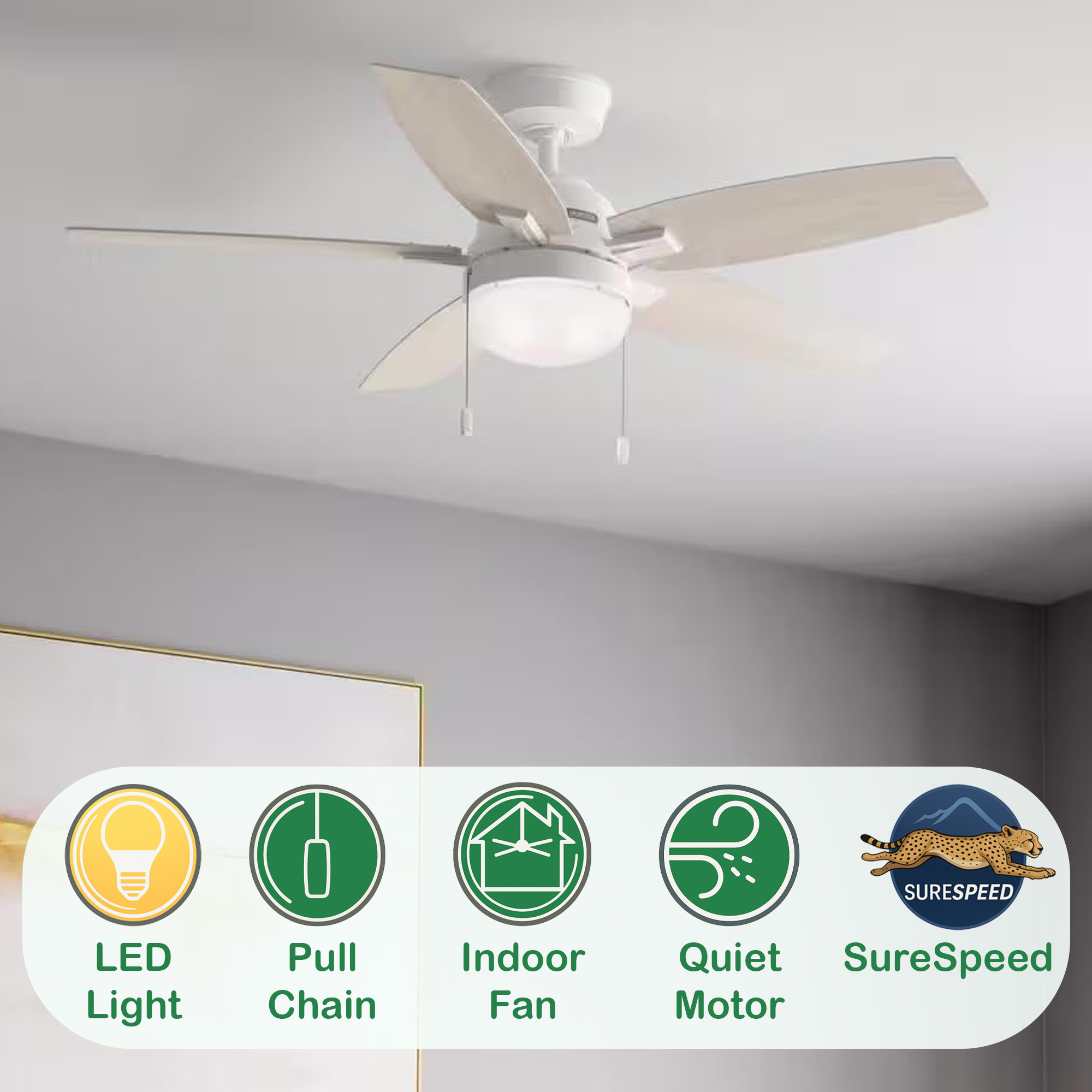 Restored Hunter Fan 52 inch White Ceiling Fan with Light and Pull Chain, Indoor Ceiling Fan with 5 Blades for Bedroom, Living Room, Kitchen, Office (Refurbished)