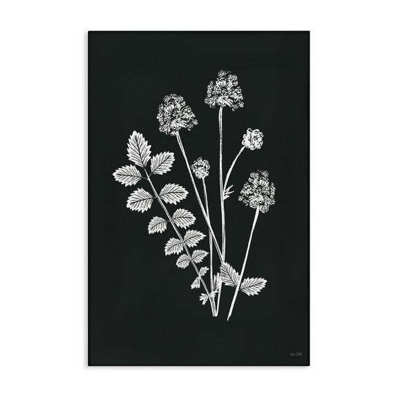 Stupell Industries Minimalist Herb Bunches Impression Canvas Art, 16 x 24, by House Fenway