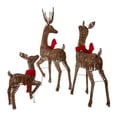Holiday Time 3Piece Lightup RattanLook Deer Family with 210 Clear