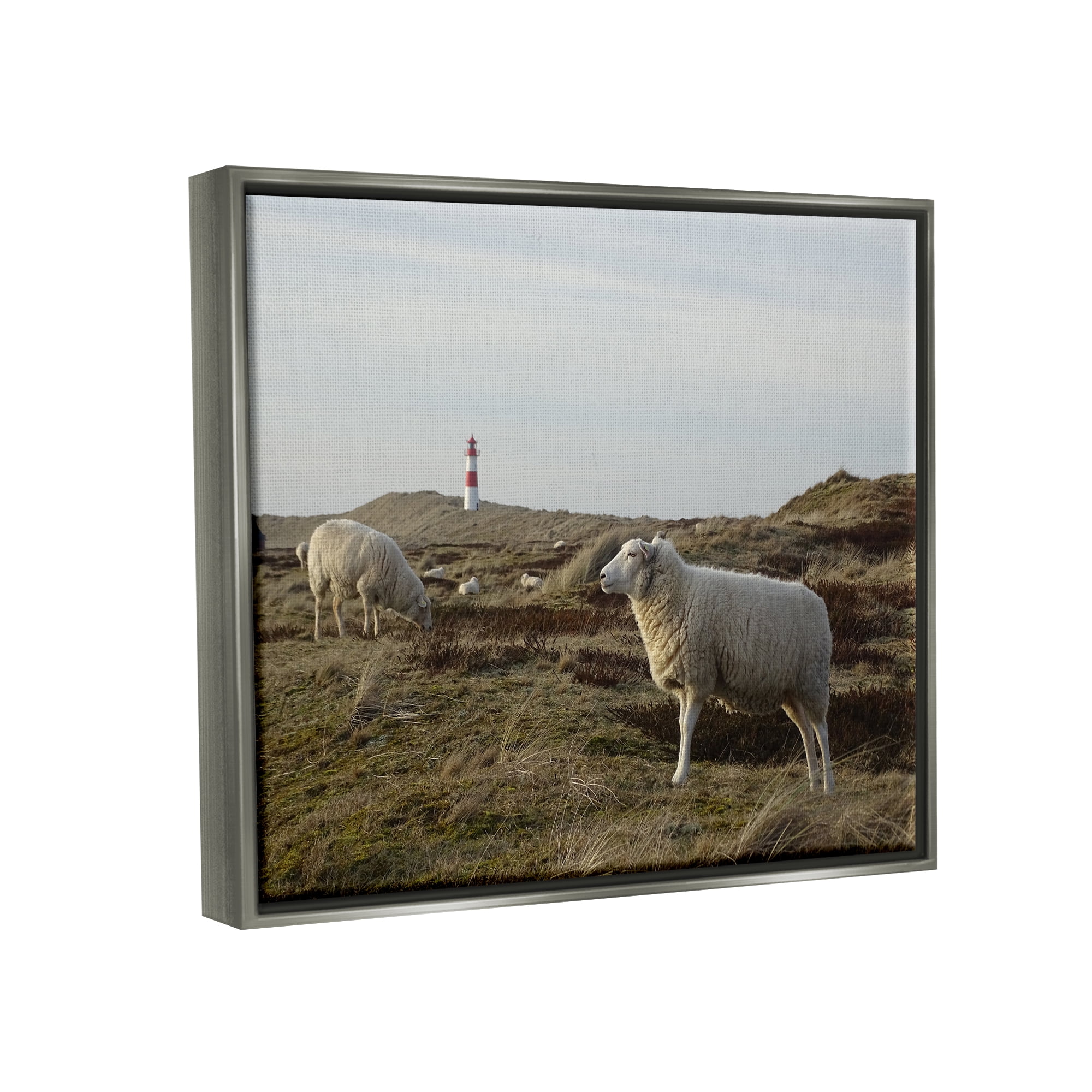 Stupell Industries Grazing Sheep Peaceful Grassland Hills Distant Lighthouse Photograph Luster Gray Floating Framed Canvas Print Wall Art, Design by Daphne Polselli
