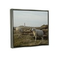 thumbnail image 3 of Stupell Industries Grazing Sheep Peaceful Grassland Hills Distant Lighthouse Photograph Luster Gray Floating Framed Canvas Print Wall Art, Design by Daphne Polselli, 3 of 6