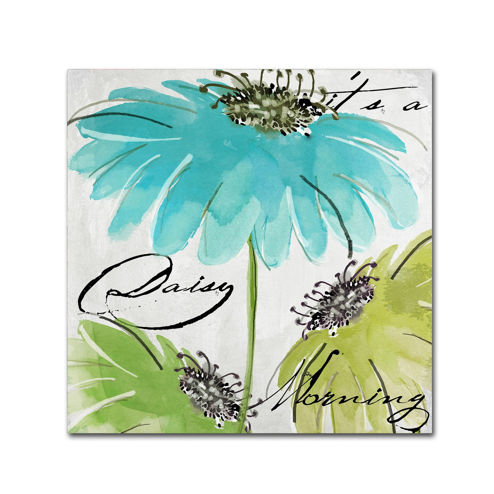 Trademark Fine Art "Daisy Morning II" Canvas Art by Color Bakery