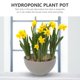 thumbnail image 3 of unbranded 1Ud Maceta De Jardín Hidropónica En Resina PP Para Plantas Narcisos Y, 3 of 7